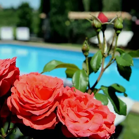 Relais Gli Ulivi San Lorenzo (Rieti)
